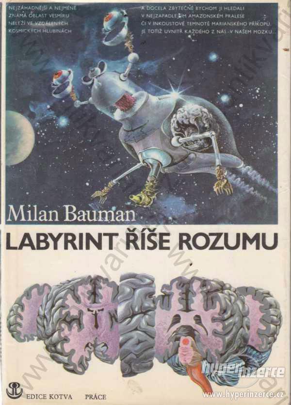 Labyrint říše rozumu Milan Bauman 1985 - foto 1
