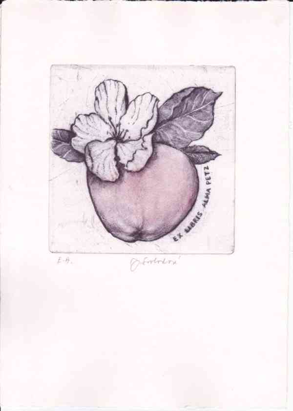 Prodám uměleckou grafiku