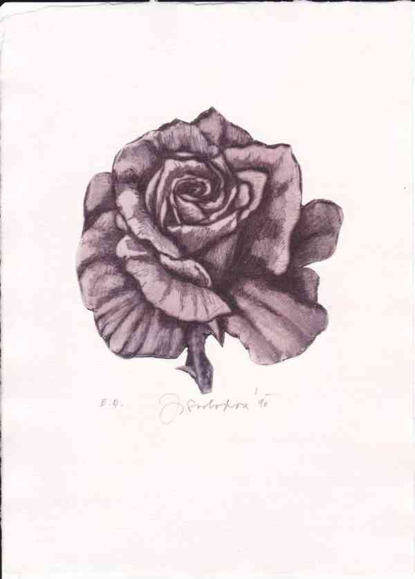 Prodám uměleckou grafiku - foto 3