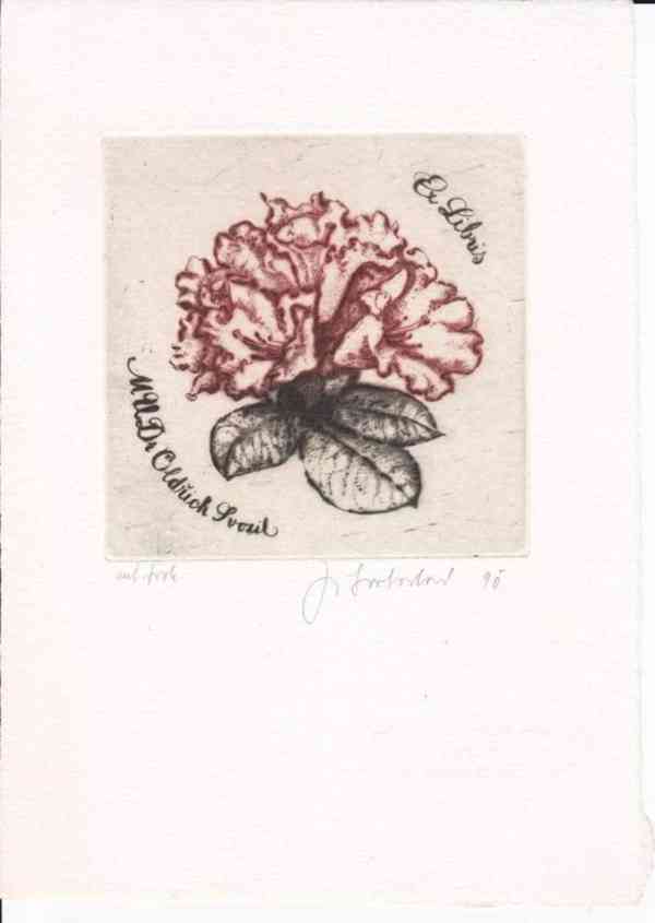 Prodám uměleckou grafiku - foto 10