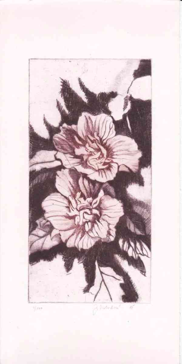 Prodám uměleckou grafiku - foto 6