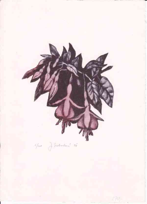 Prodám uměleckou grafiku - foto 4