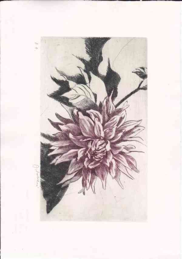 Prodám uměleckou grafiku - foto 7