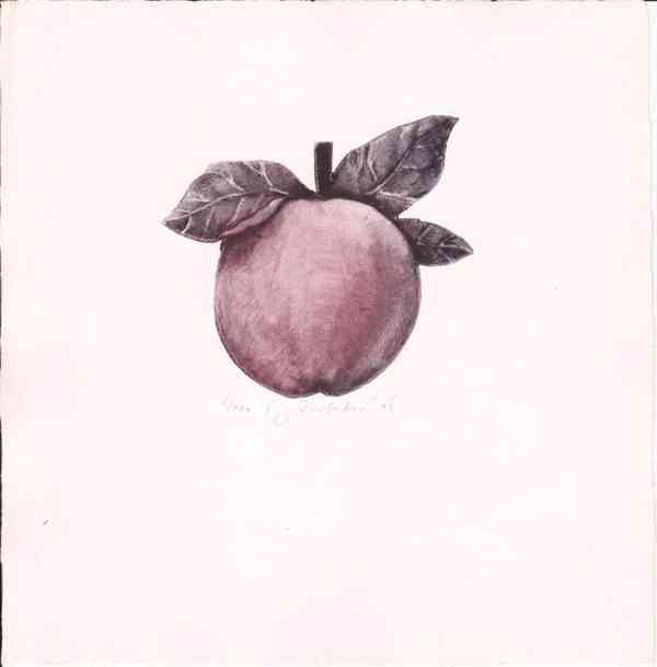 Prodám uměleckou grafiku - foto 5