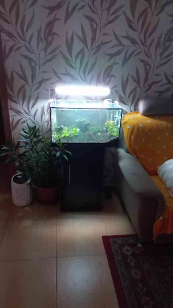Chichiros LED A SERIE 50-70cm 33W, A501 - foto 3