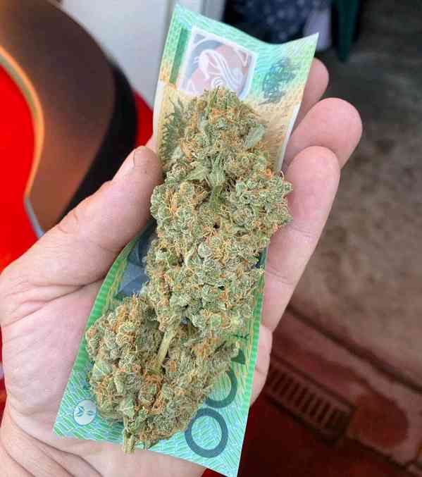 LSD #MDMA😶‍🌫️#Ket🛸,#Pills💊peyote🌵Ibogaine Telegram:(@Sh - foto 2