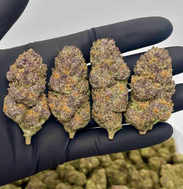 Buy Marijuana/Cannabis, Xanax, Molly, Weed, OXY, Crystal - foto 2