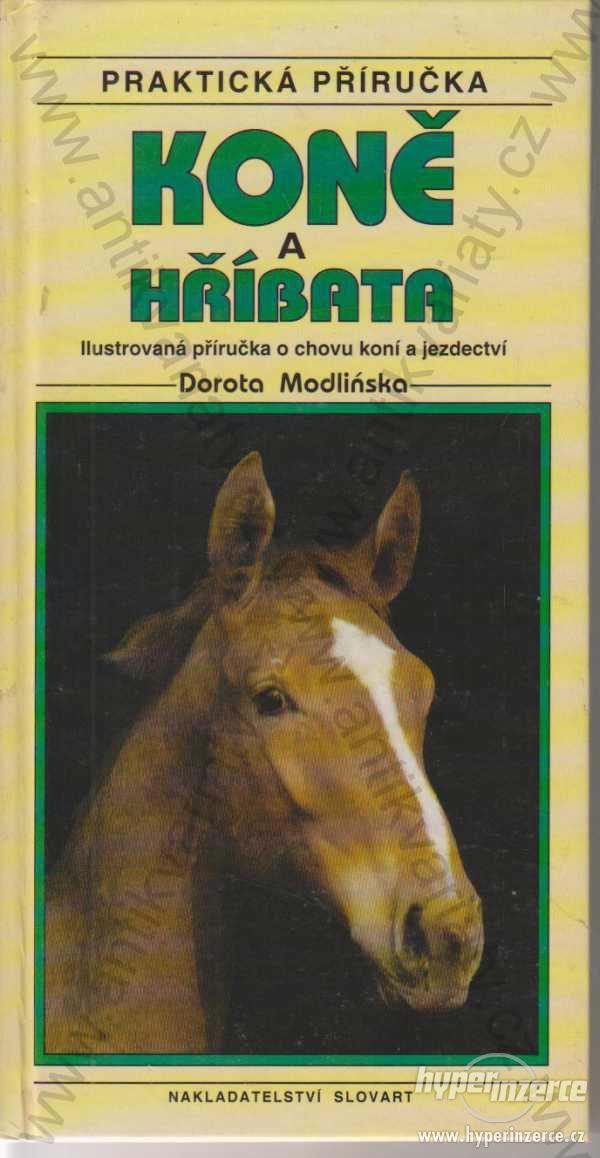 Koně a hříbata  Dorota Modlińska 1994 - foto 1