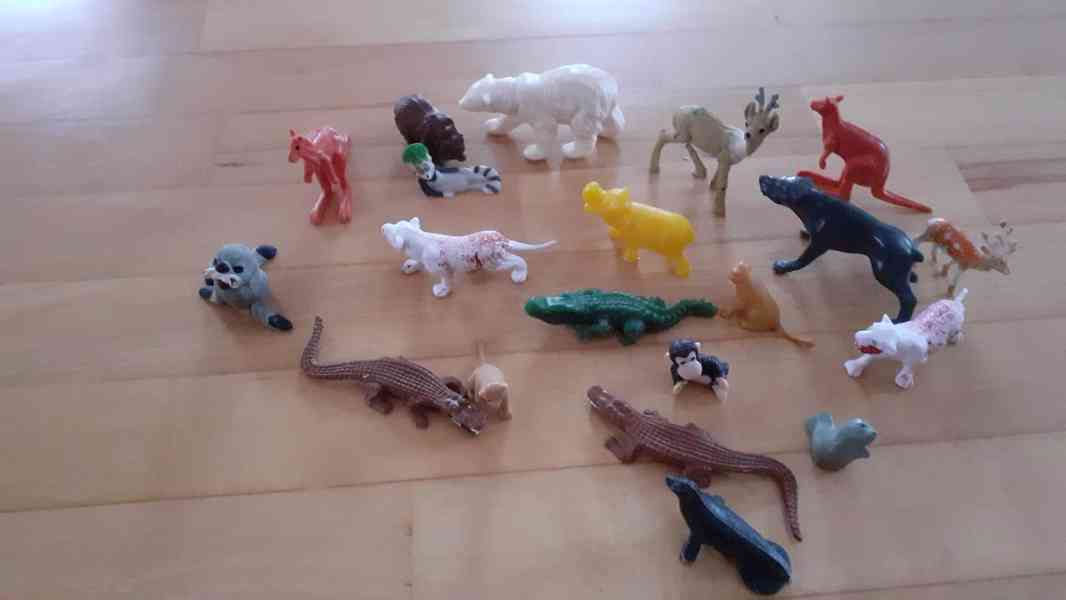 Prodám zvířátka  - foto 4