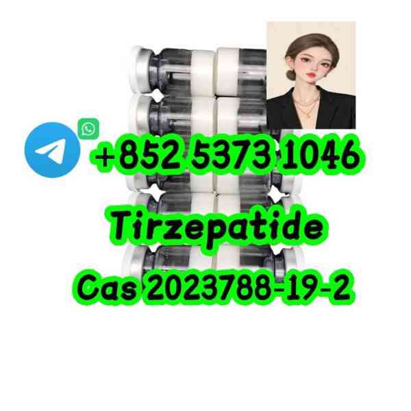 Semaglutide Peptide API Custom Manufacturing CAS No. 910463- - foto 3