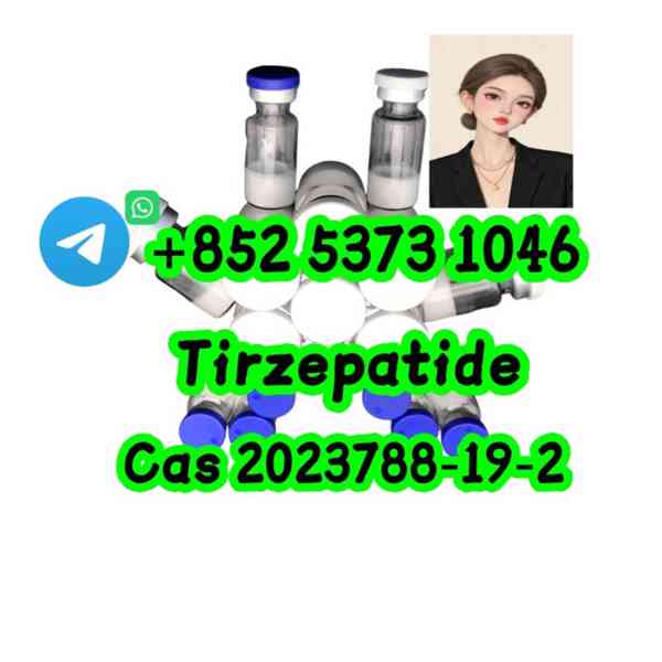 Semaglutide Peptide API Custom Manufacturing CAS No. 910463- - foto 4