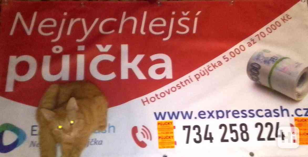 Rychlá  půjčka - foto 2