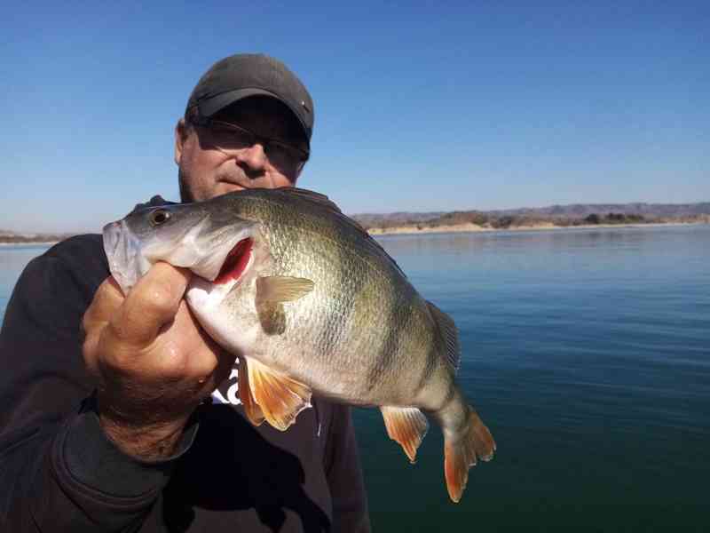 Jaro na EBRU  - foto 2