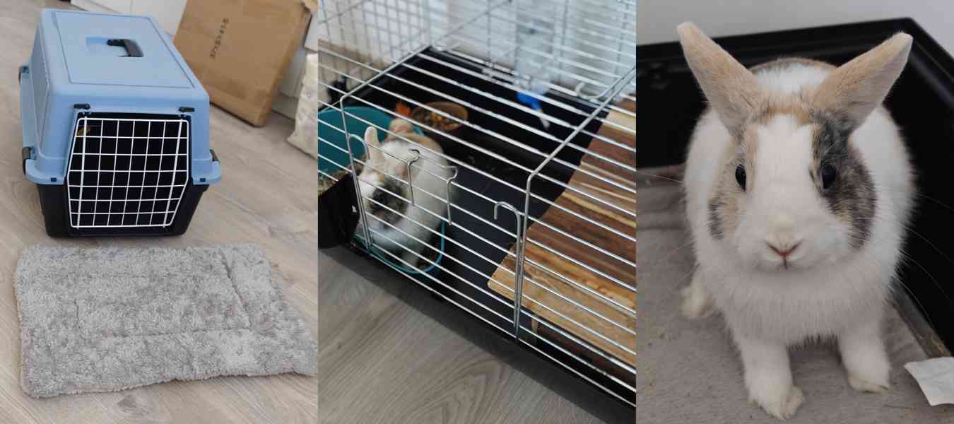 Zakrslý králík s výbavou  - foto 4