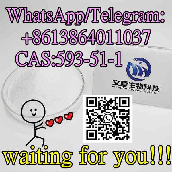 High quality,593-51-1,Methylamine hydrochloride - foto 1