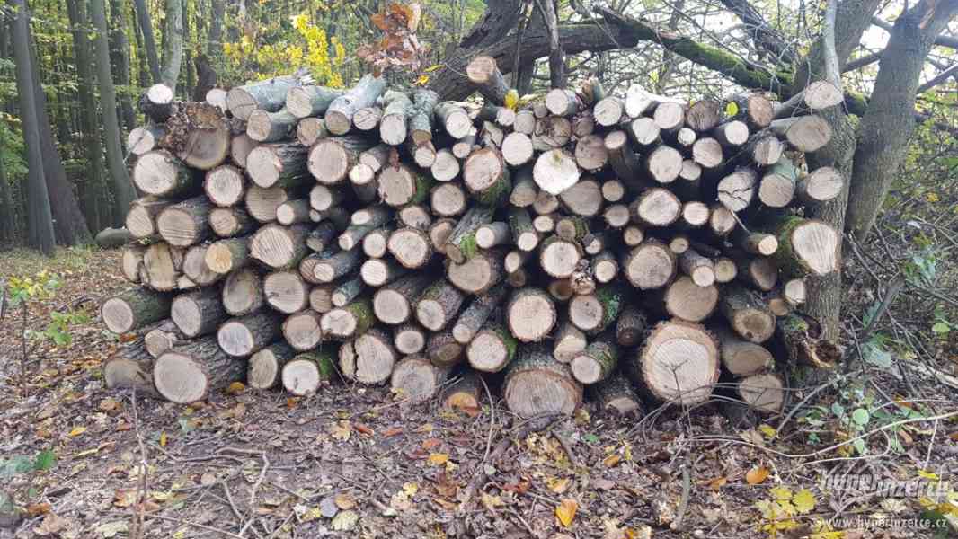Palivové dřevo v metrovkách - foto 1
