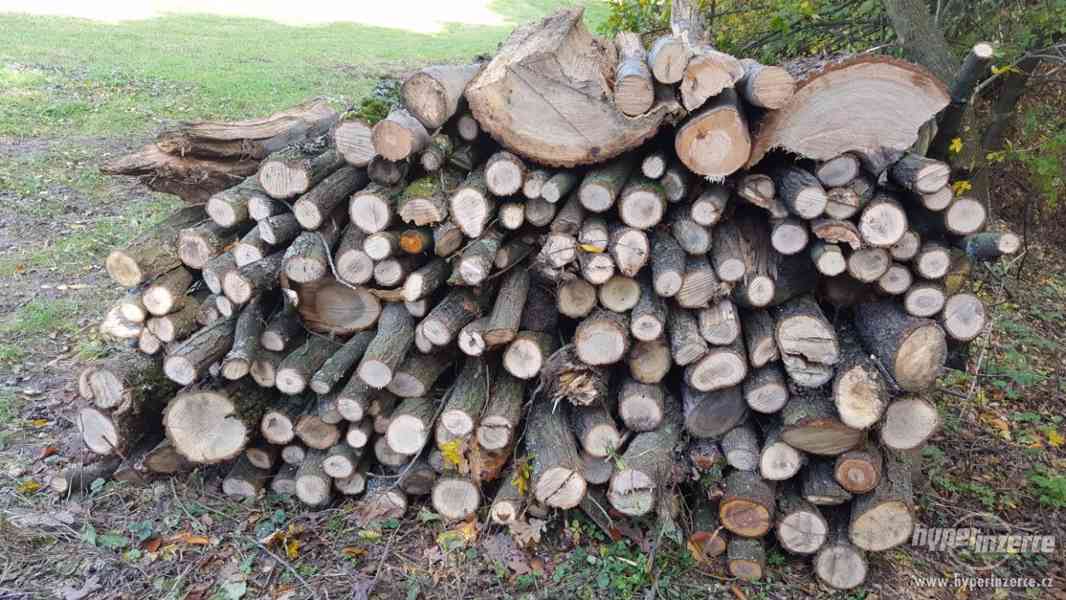 Palivové dřevo v metrovkách - foto 2