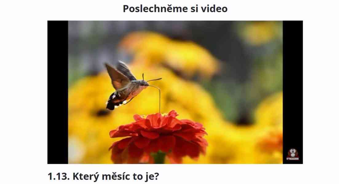 Online kurz němčiny pro začátečníky zdarma - foto 10