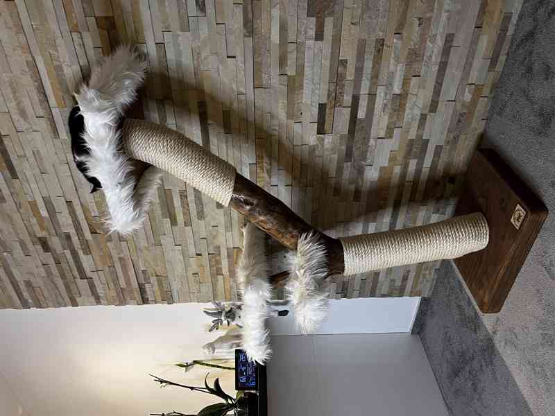 Škrabadla pro kočky  - foto 2