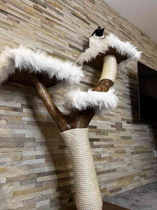 Škrabadla pro kočky  - foto 3