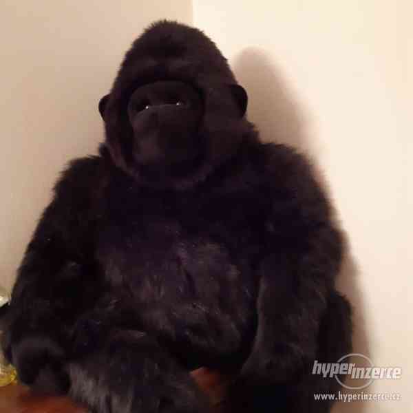 Velká plyšová gorila, cca 1m vysoká, zachovalá.. - foto 1