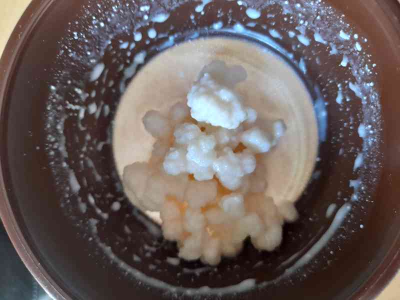 KEFÍROVÁ HOUBA - foto 2