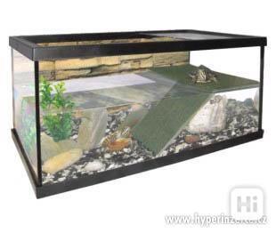 Akvárium pro vodní želvy - želvárium - foto 1