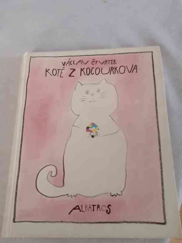 Kotě z Kocourkova