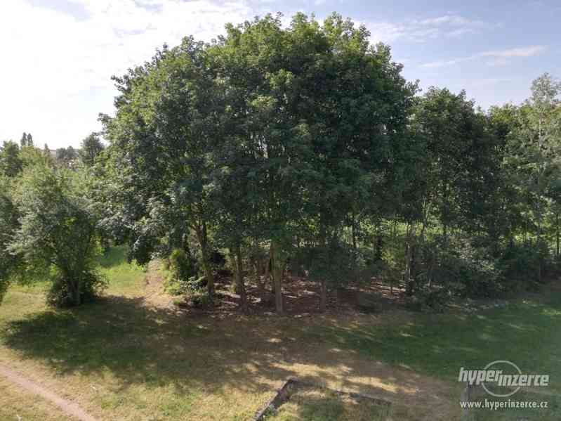 Prodej bytu 1+1 v os. vlastnictví Přelouč - foto 3