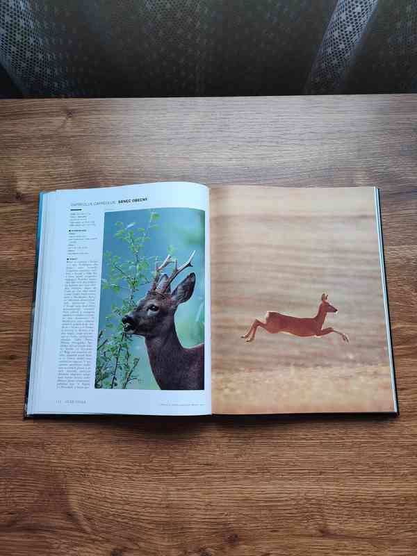 Naučné a obrazové knihy - foto 7