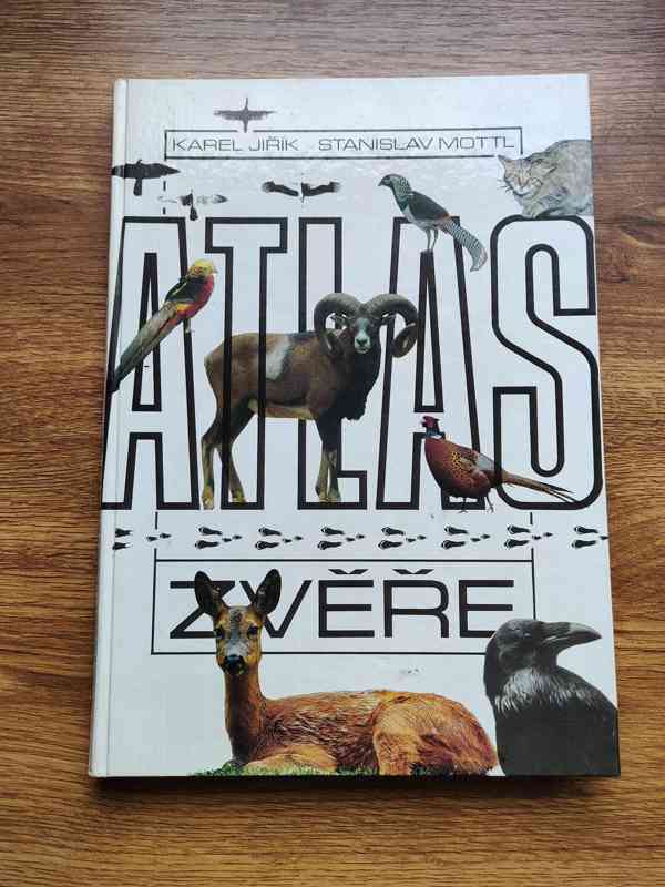 Naučné a obrazové knihy - foto 12