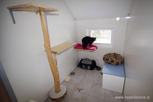 Hotel pro kočky Trubská - foto 4