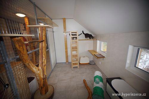 Hotel pro kočky Trubská - foto 5