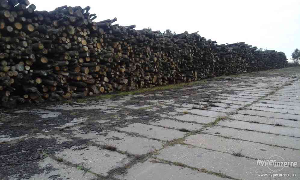 Palivové dřevo tvrdé - dub,buk,habr - foto 1