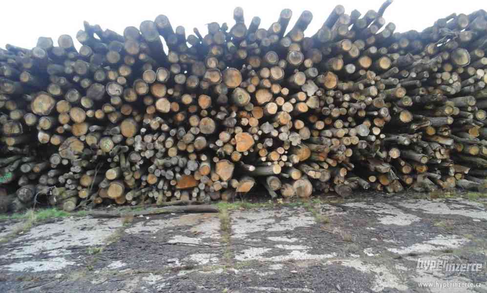 Palivové dřevo tvrdé - dub,buk,habr - foto 2