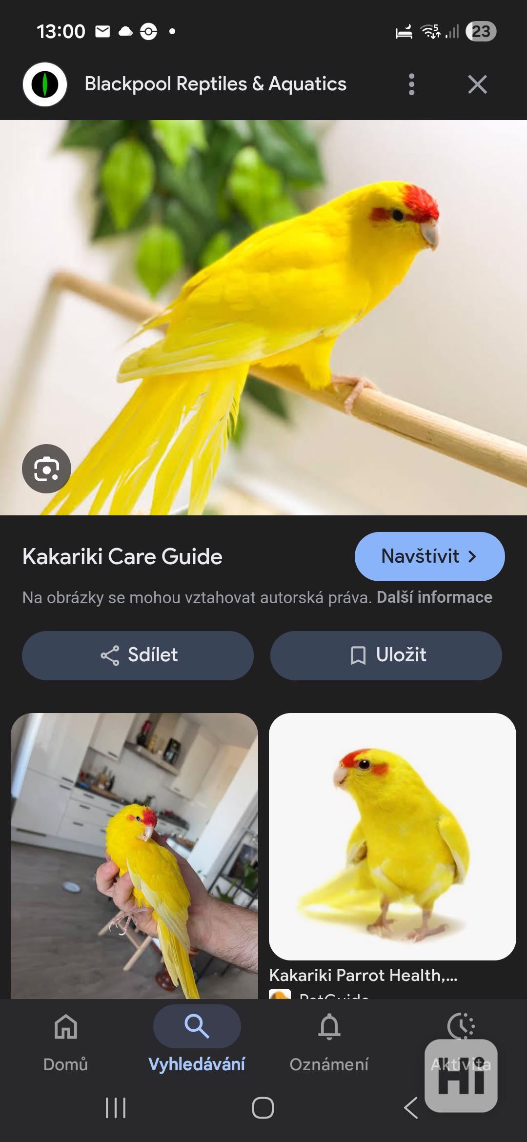 Kakaraky červeno lící - foto 1