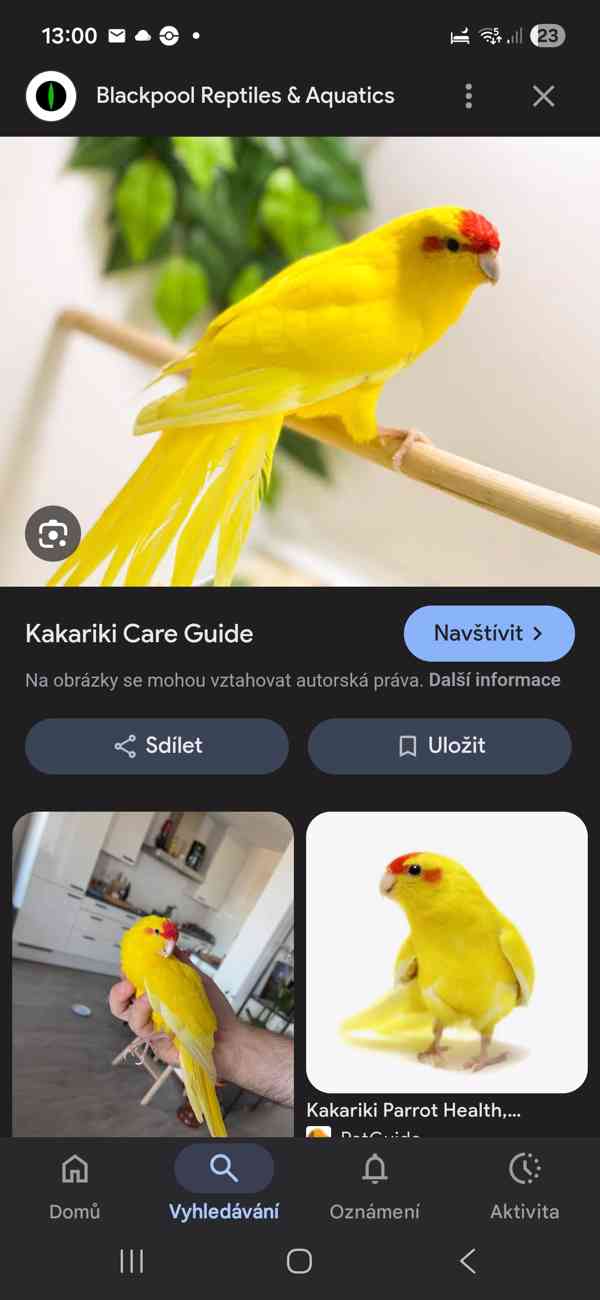 Kakaraky červeno lící