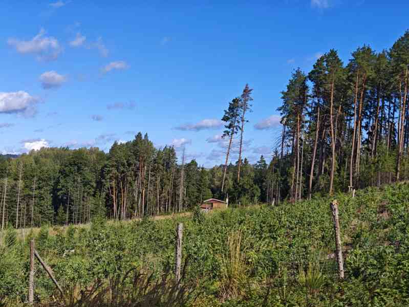 Prodej chaty 15 m², Pelhřimov - Vlásenice - foto 7