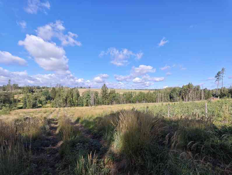 Prodej chaty 15 m², Pelhřimov - Vlásenice - foto 8