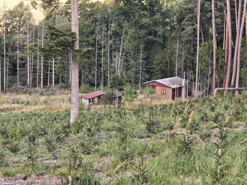 Prodej chaty 15 m², Pelhřimov - Vlásenice - foto 5