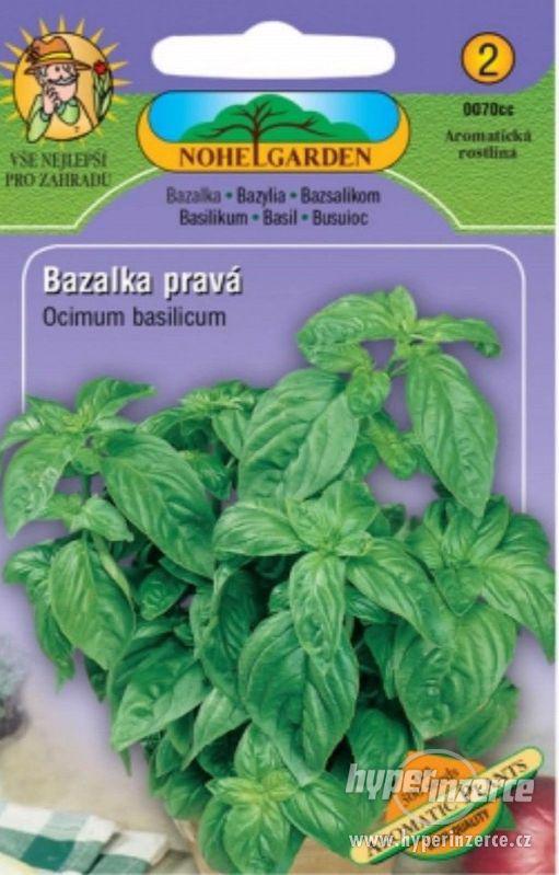 Bazalka pravá (semena) www.rostliny-prozdravi.cz - foto 1