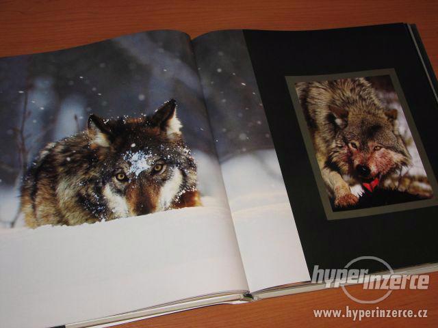 NOVÁ kniha * Jaké to je být vlkem * - foto 2