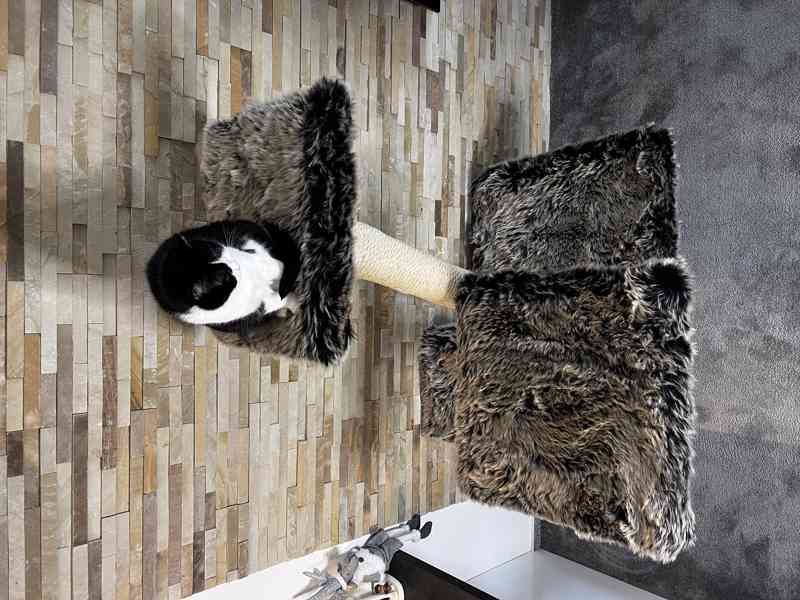 Kočičí strom pro velké kočky - foto 3