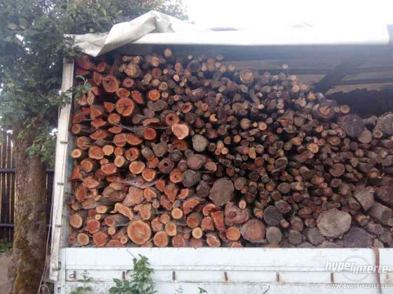Tvrdé palivové dřevo - foto 2