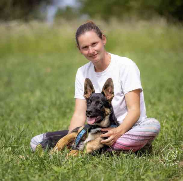 Bailey z útulku Voříškov - foto 3