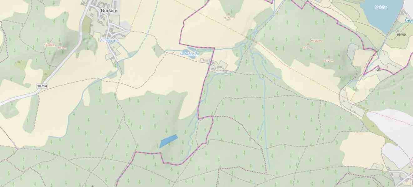 Lesní pozemek Buršice (Kolinec) - foto 14