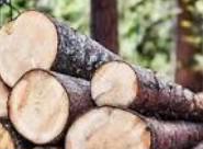 Masivní nábytek - foto 2