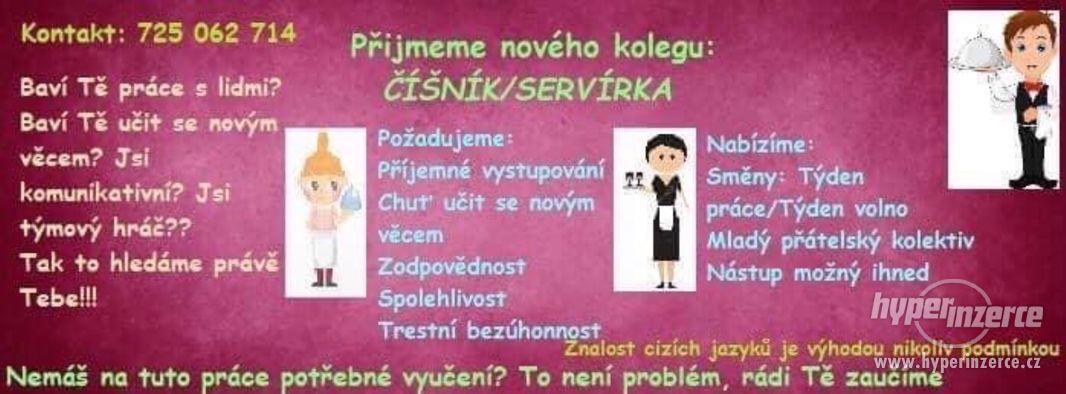 Číšník/Servírka - foto 1