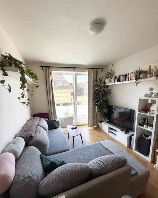 Pronájem bytu 2+kk 50 m² - foto 6