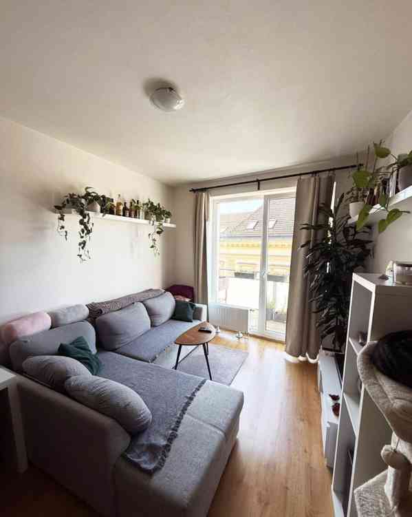 Pronájem bytu 2+kk 50 m² - foto 7